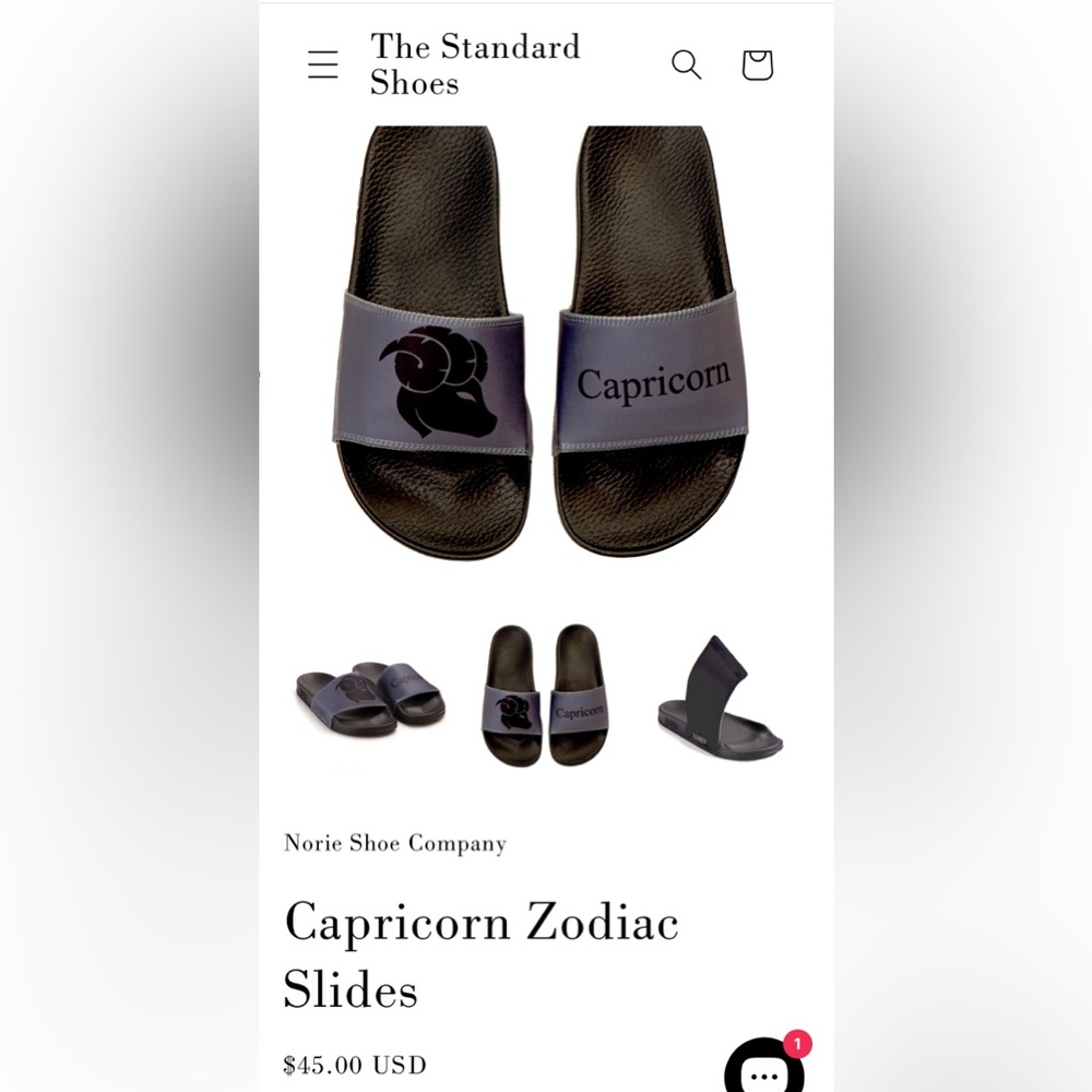 Norie Zodiac Slides- Eur 39, US 8.5 (fits more like 7.5) Capricorn NWB